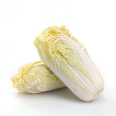 娃娃菜（约500g）