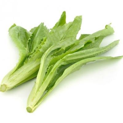 油麦菜(约500g) 