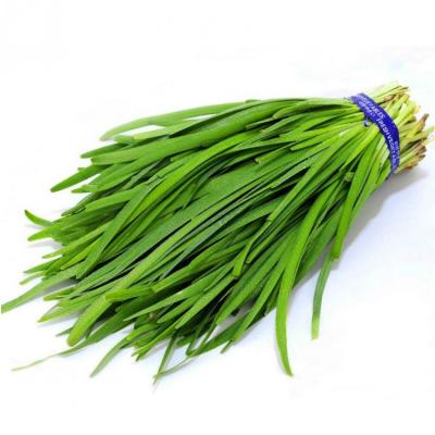 韭菜（约500g） 