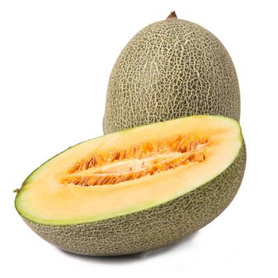 西州蜜哈密瓜 约5斤