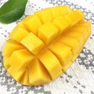 水仙芒果1个约0.6斤