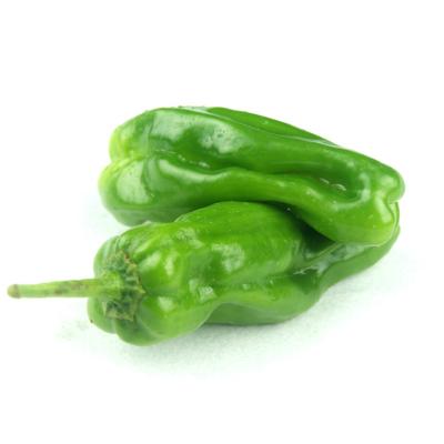 薄皮青椒 约3斤